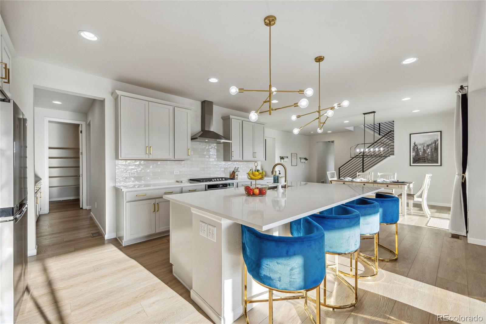 MLS Image #6 for 14373  shasta daisy point,parker, Colorado