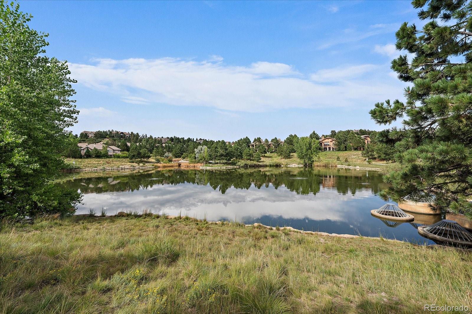MLS Image #44 for 7010  homeplace point,castle rock, Colorado