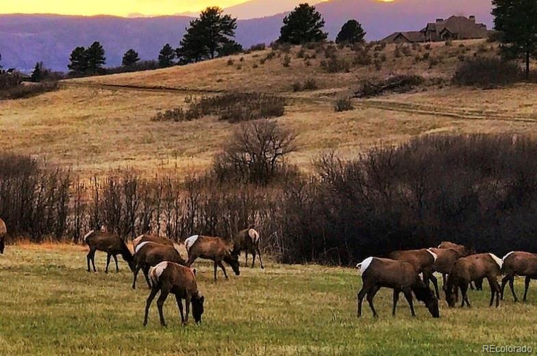 MLS Image #45 for 7010  homeplace point,castle rock, Colorado