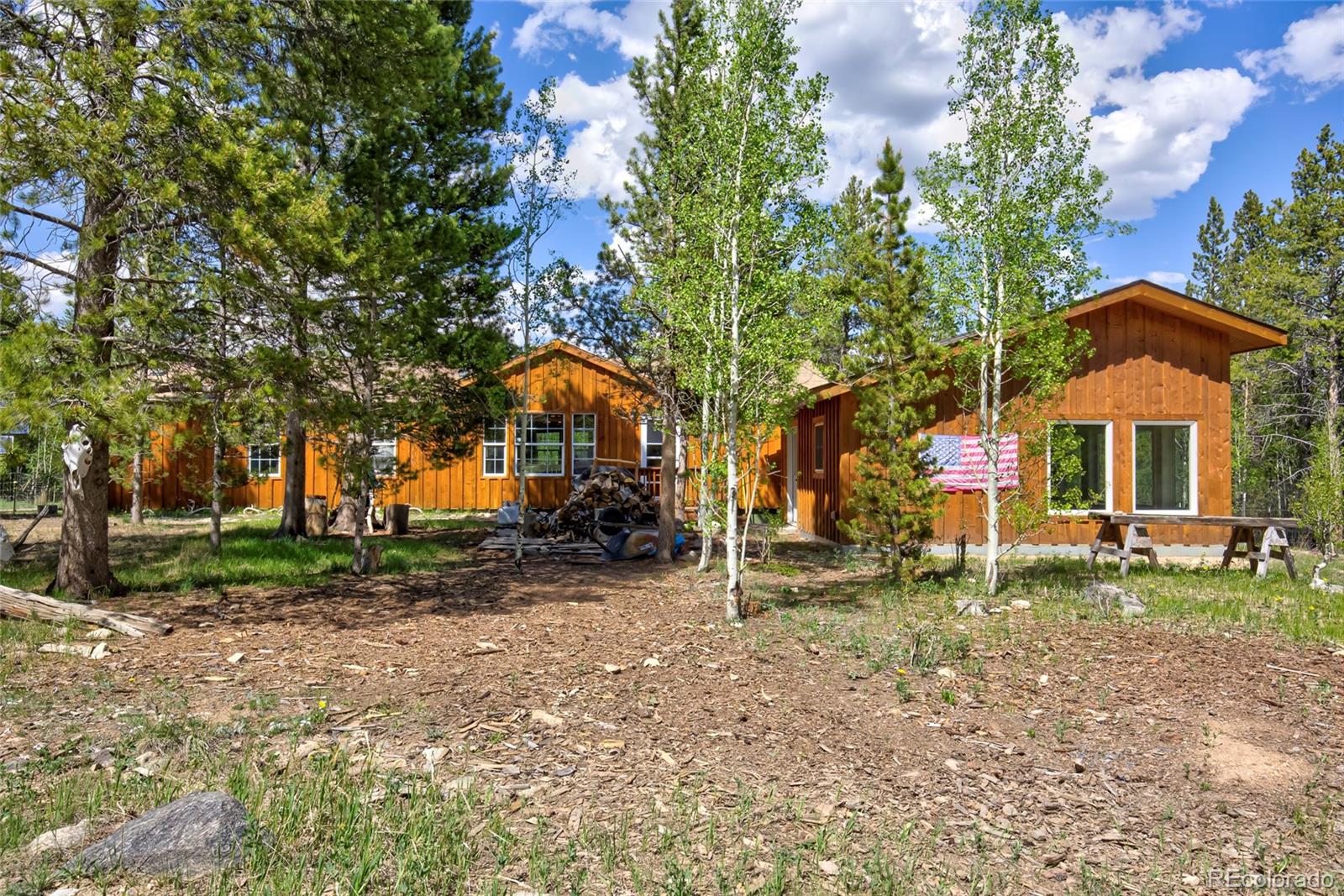 MLS Image #0 for 166  ski doo road,fairplay, Colorado
