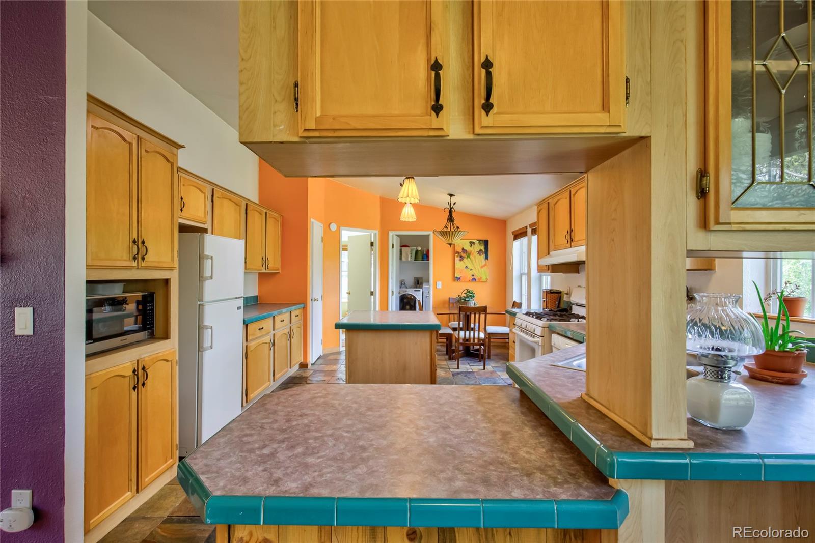 MLS Image #10 for 166  ski doo road,fairplay, Colorado