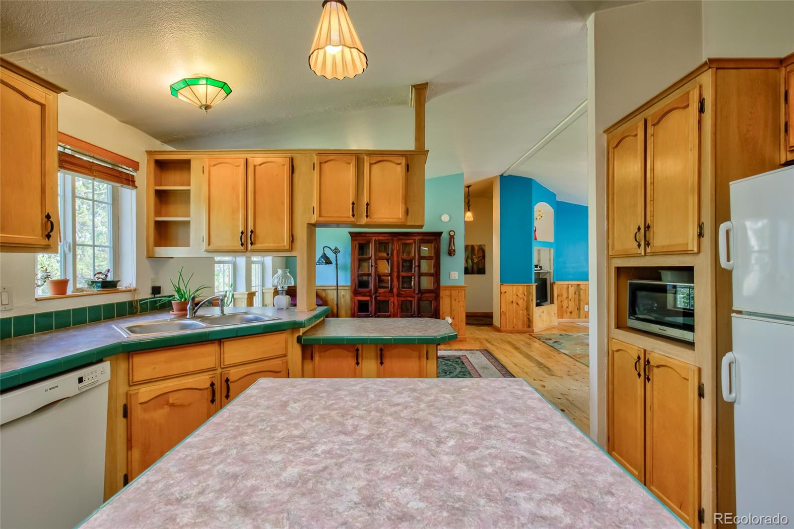 MLS Image #12 for 166  ski doo road,fairplay, Colorado