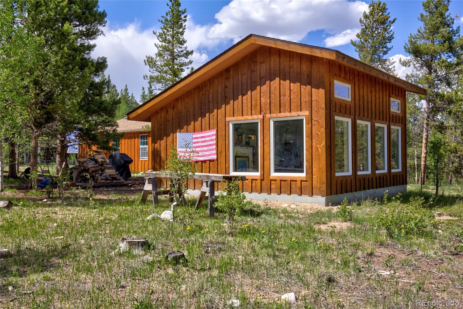 MLS Image #25 for 166  ski doo road,fairplay, Colorado
