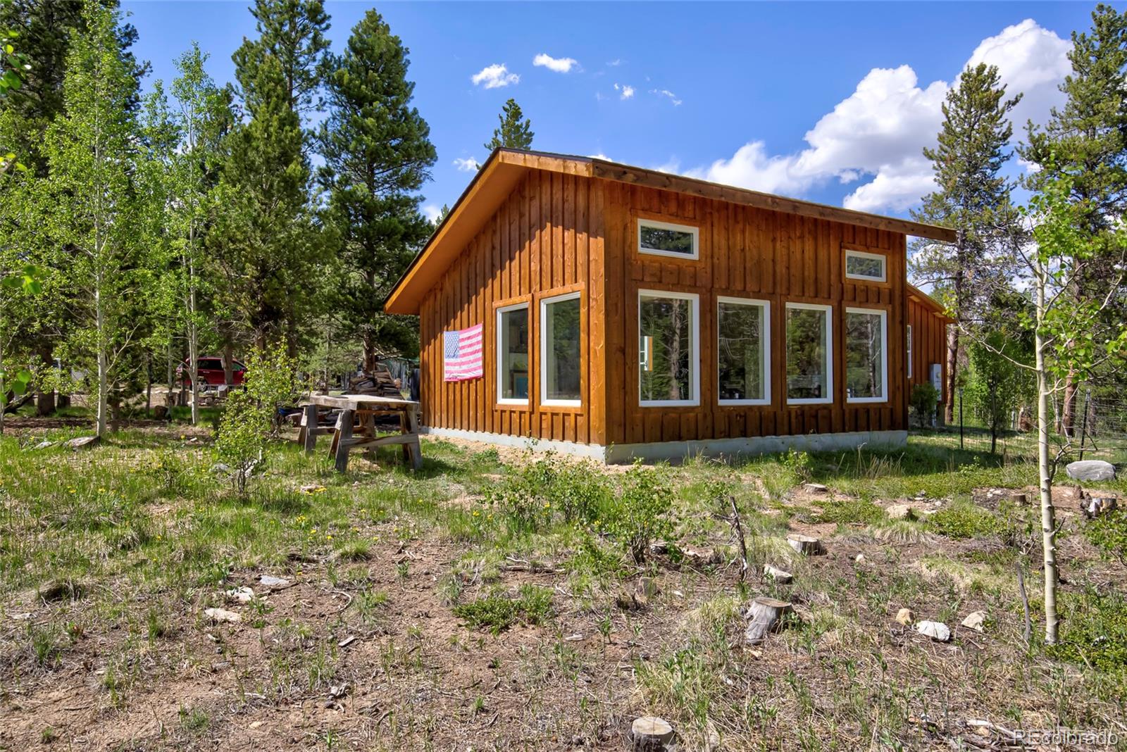 MLS Image #26 for 166  ski doo road,fairplay, Colorado