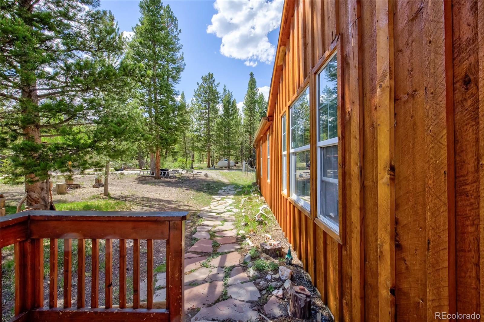 MLS Image #3 for 166  ski doo road,fairplay, Colorado