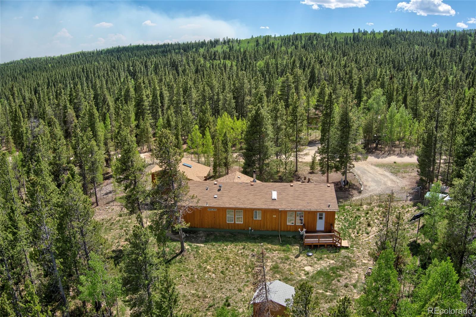 MLS Image #32 for 166  ski doo road,fairplay, Colorado