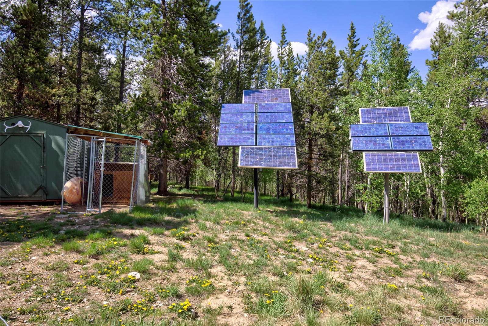 MLS Image #37 for 166  ski doo road,fairplay, Colorado