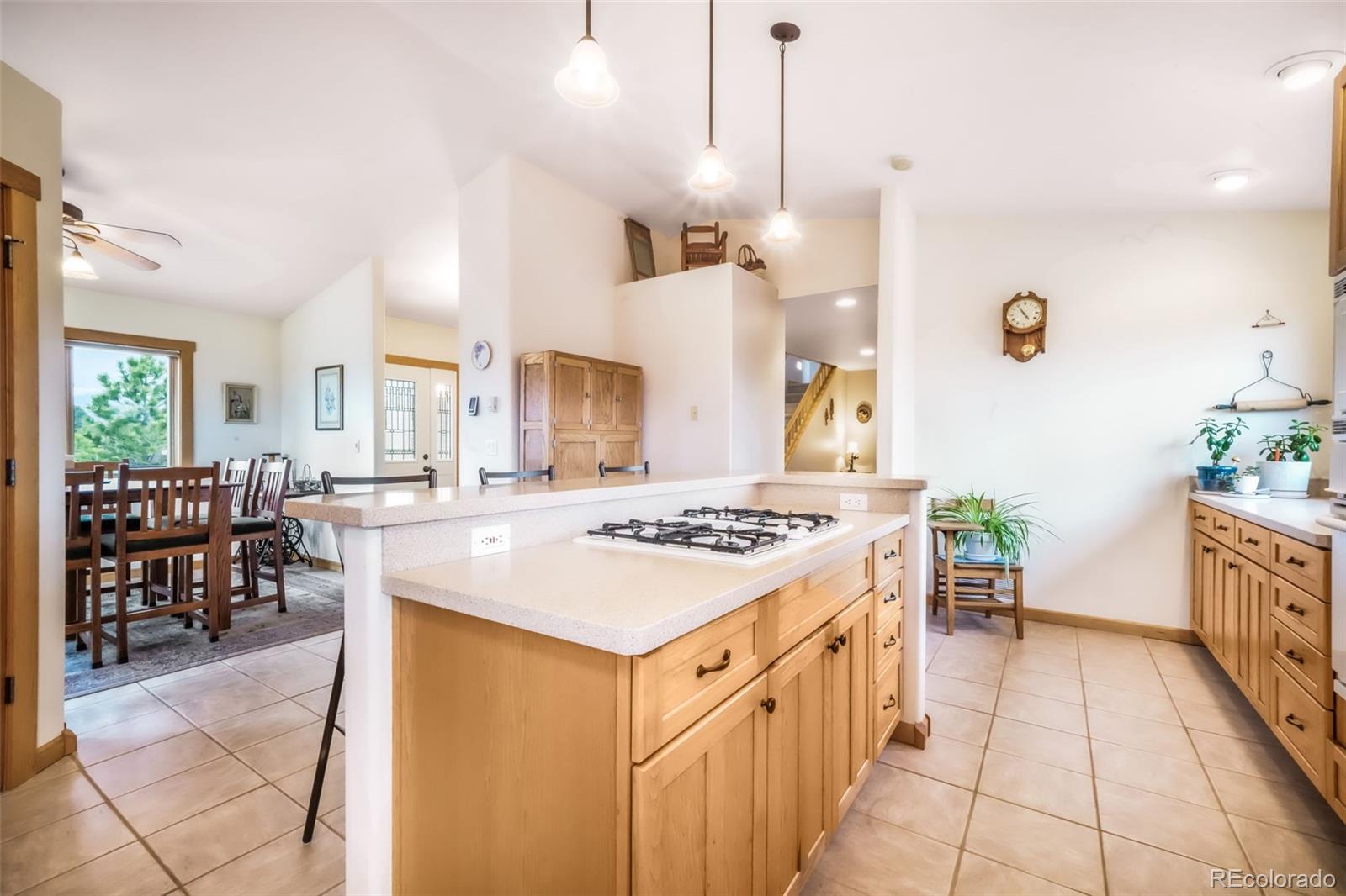 MLS Image #11 for 18750  spring valley road,monument, Colorado