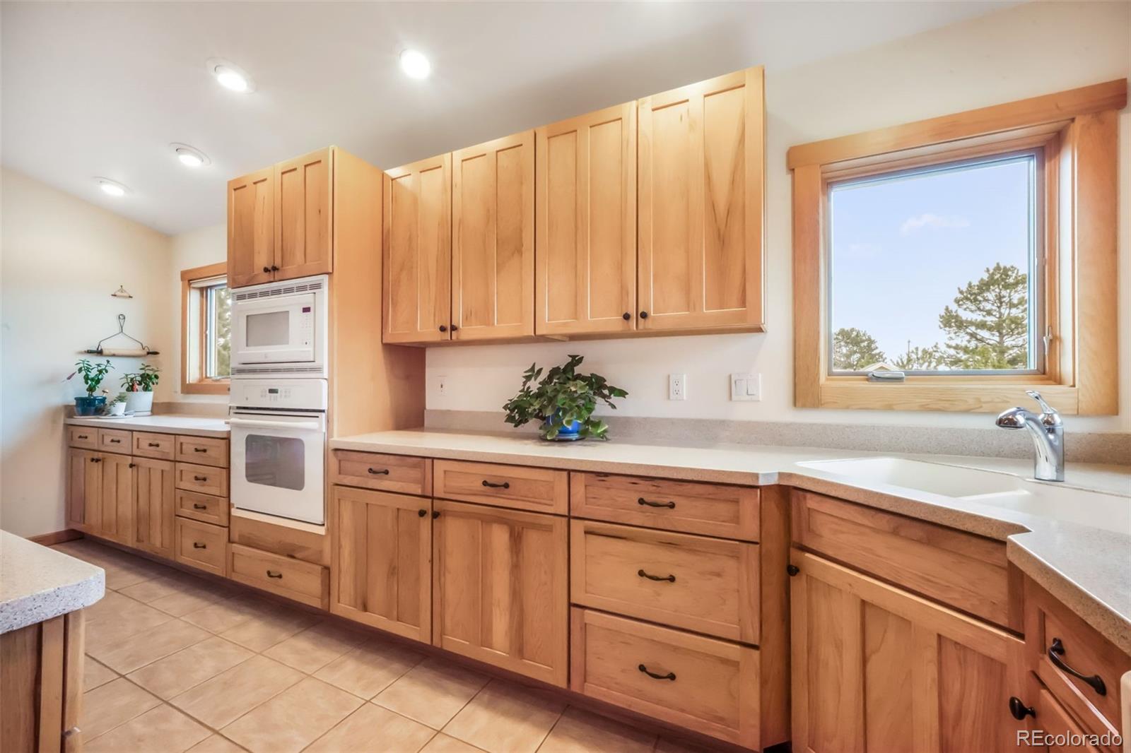 MLS Image #12 for 18750  spring valley road,monument, Colorado