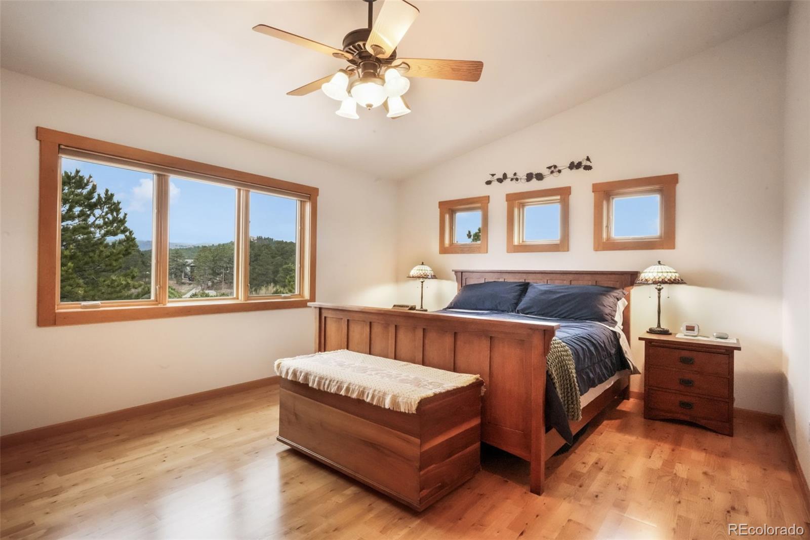 MLS Image #18 for 18750  spring valley road,monument, Colorado