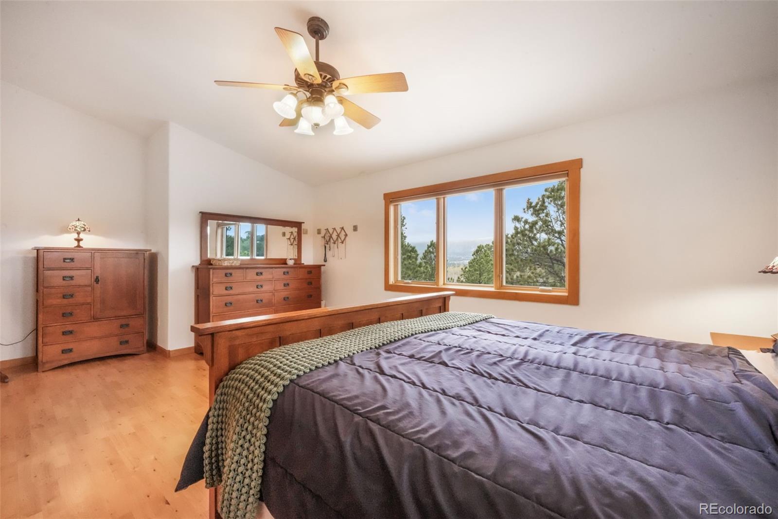 MLS Image #19 for 18750  spring valley road,monument, Colorado