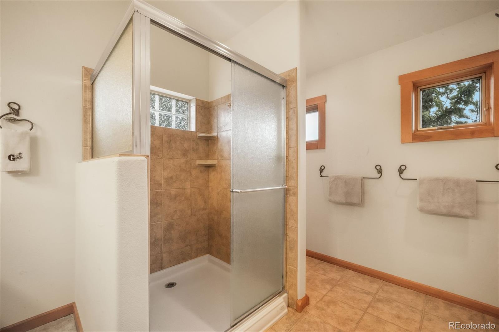 MLS Image #23 for 18750  spring valley road,monument, Colorado