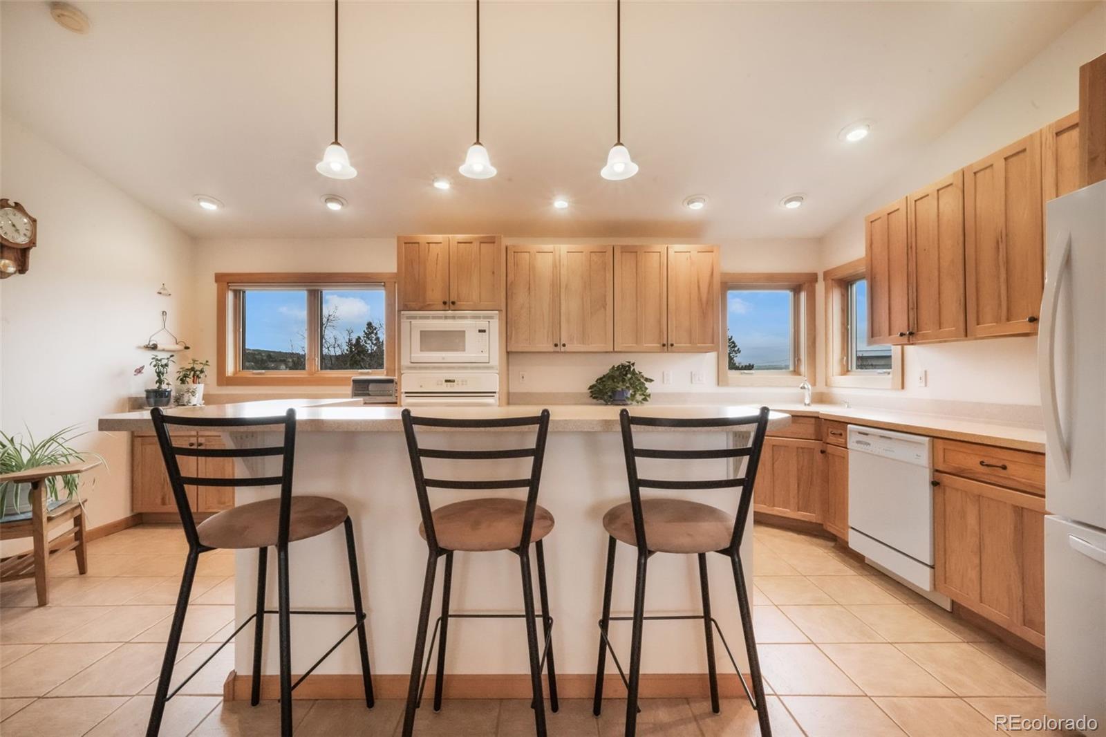 MLS Image #8 for 18750  spring valley road,monument, Colorado