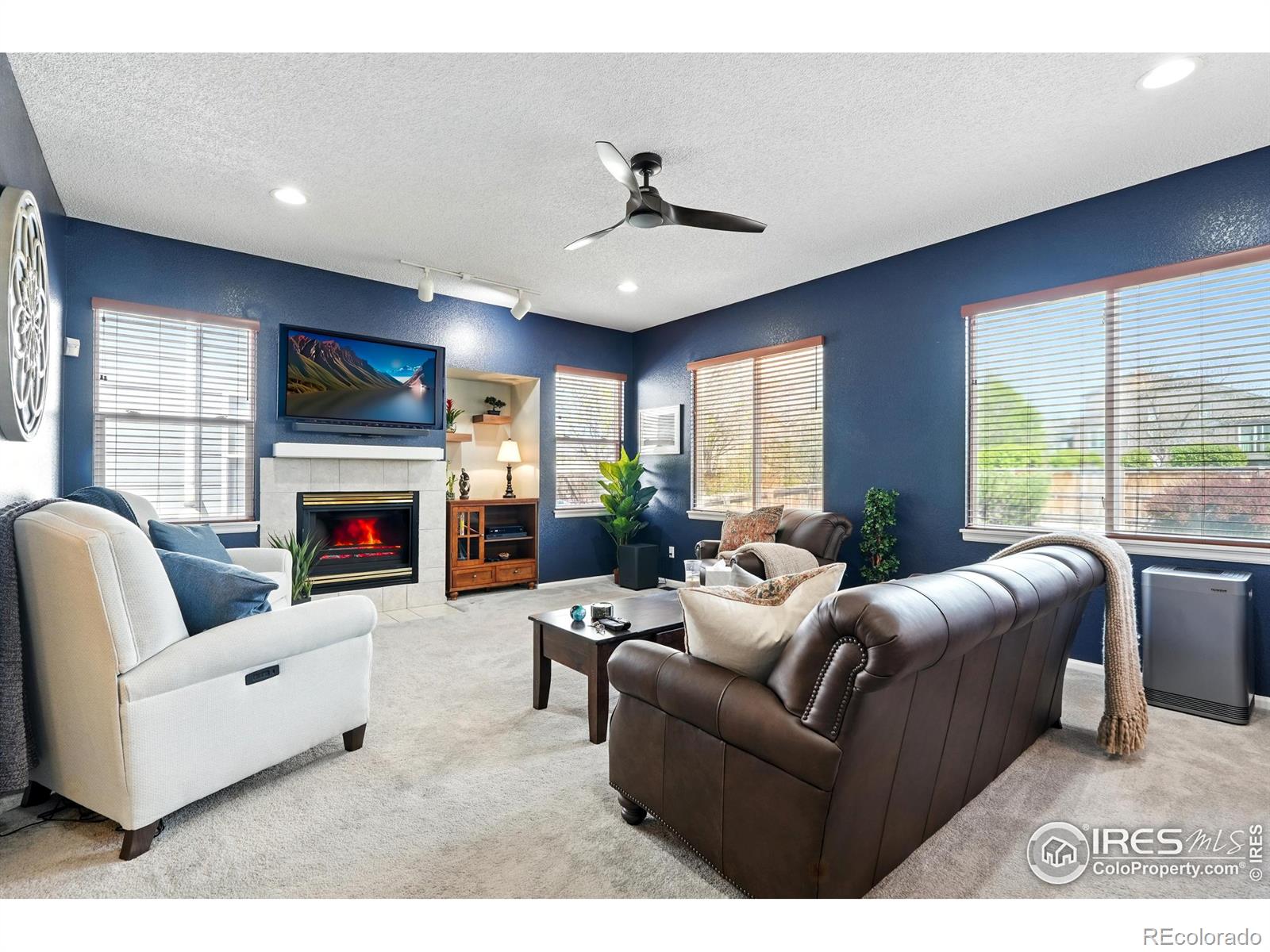 MLS Image #16 for 407  simmons street,erie, Colorado