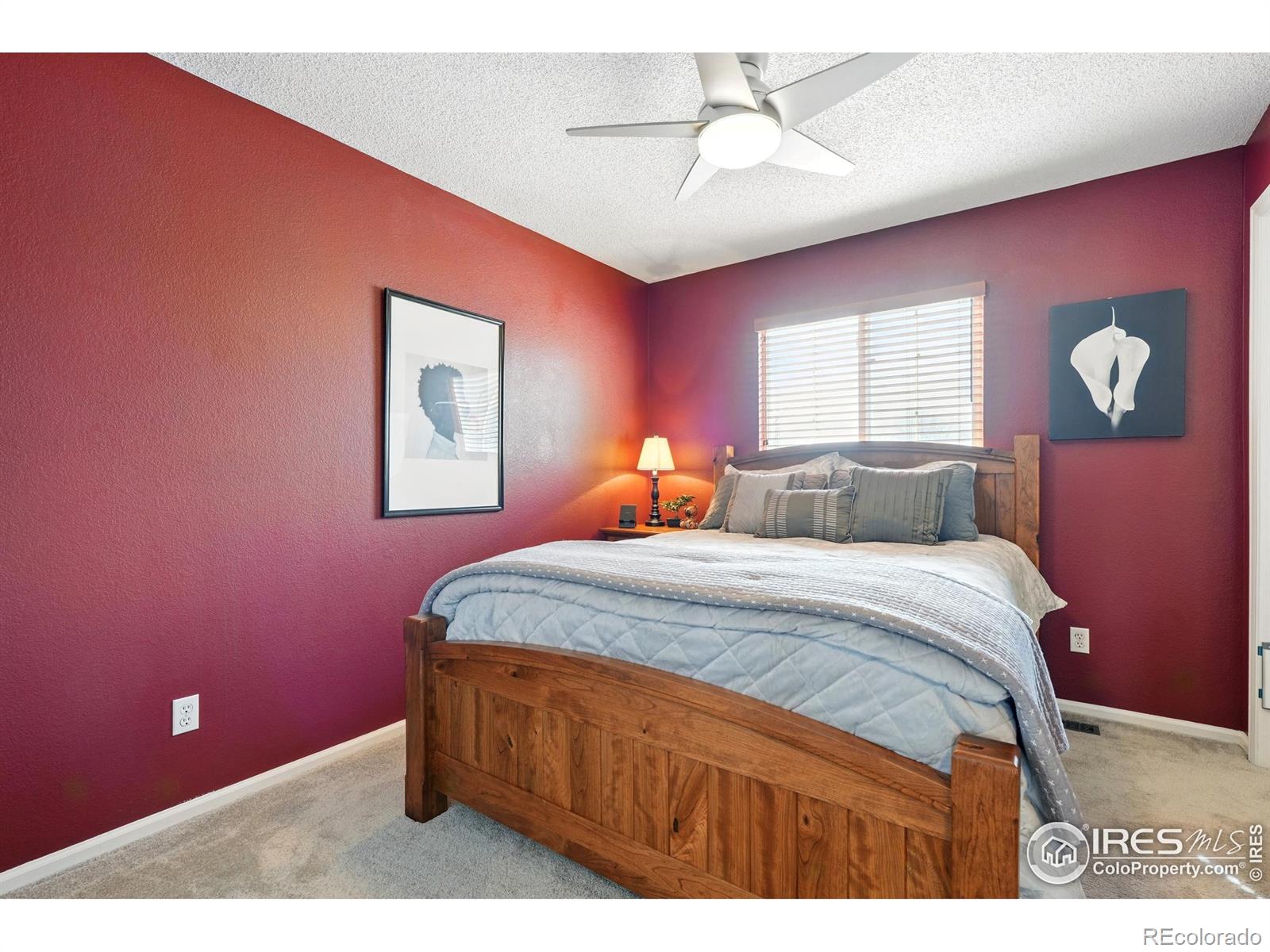 MLS Image #26 for 407  simmons street,erie, Colorado