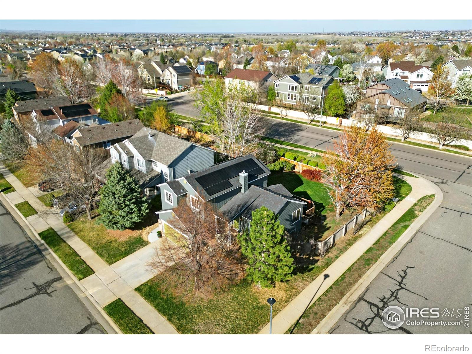 MLS Image #5 for 407  simmons street,erie, Colorado