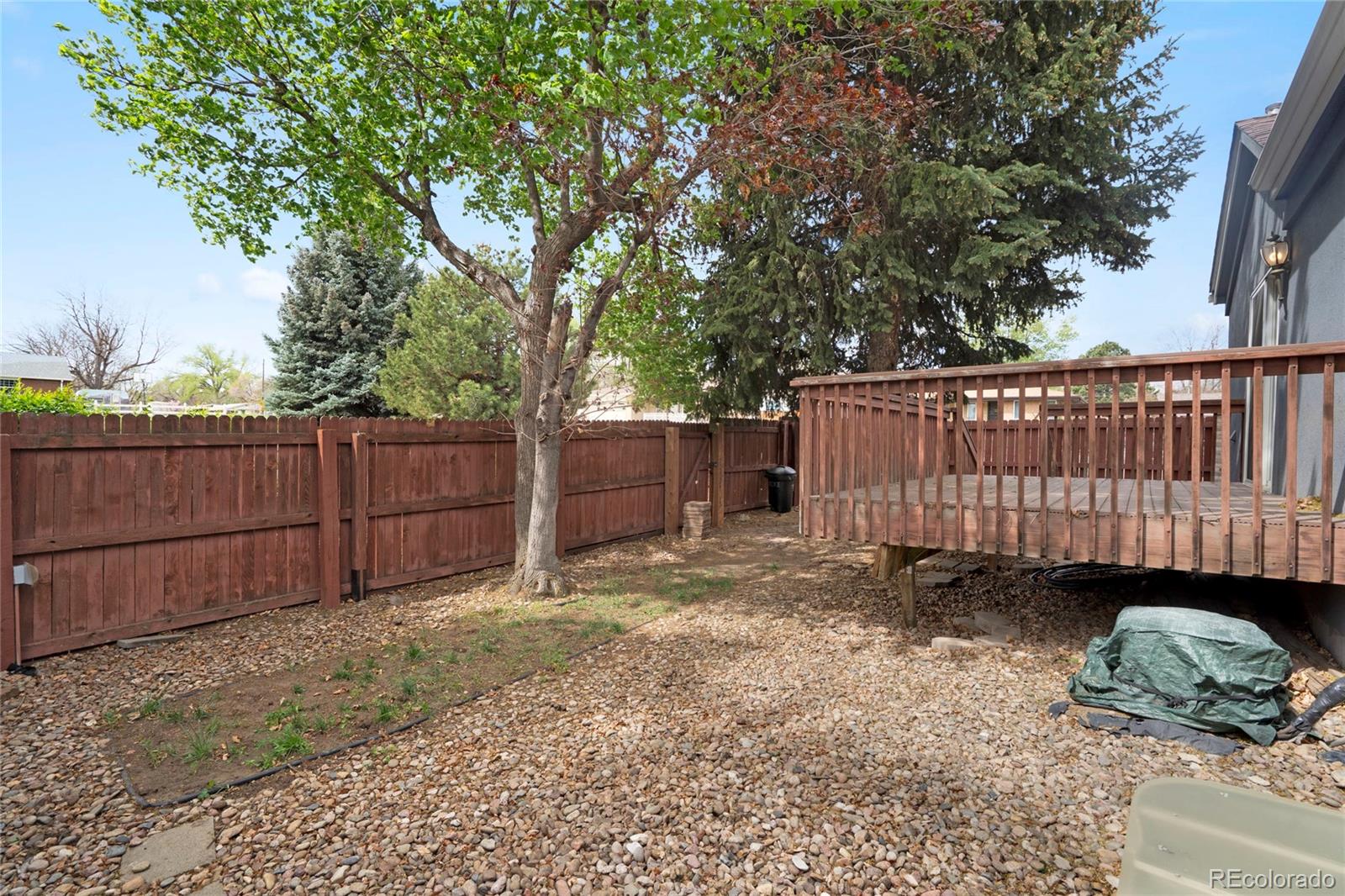 MLS Image #31 for 1972 s carr street ,lakewood, Colorado