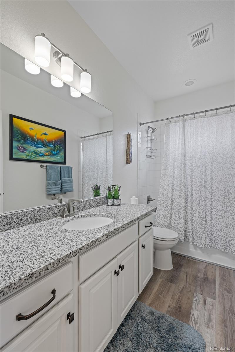 MLS Image #22 for 1114  basalt ridge loop,castle rock, Colorado