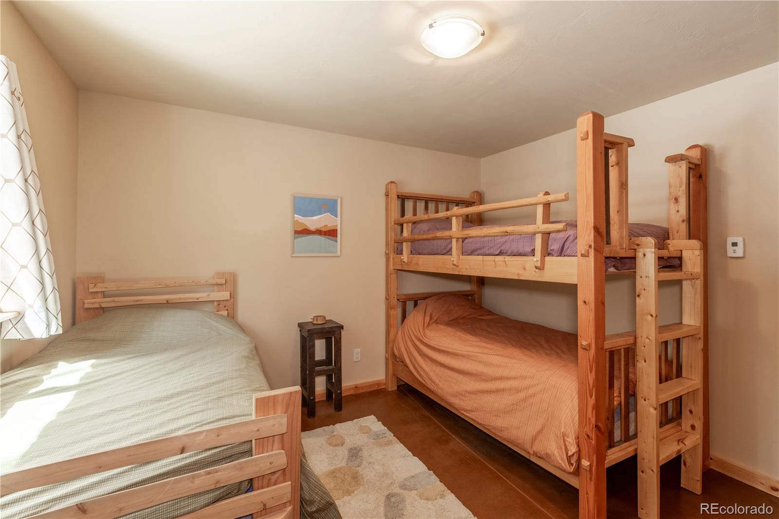 MLS Image #19 for 344  puma place,fairplay, Colorado