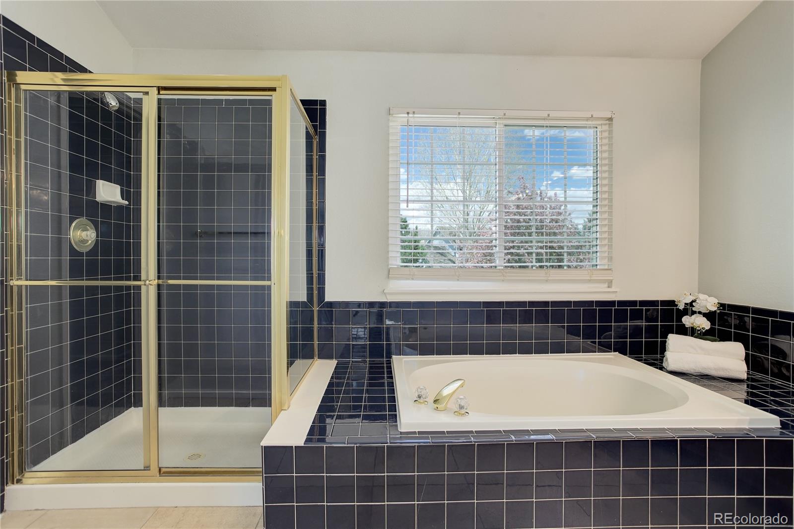 MLS Image #24 for 19058 e hickock drive,parker, Colorado