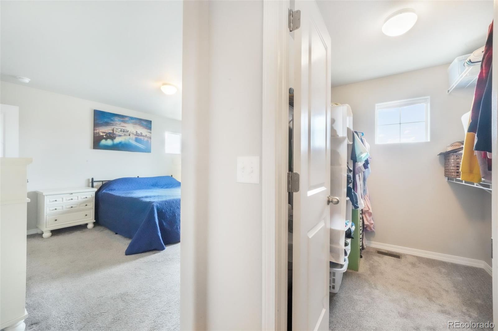 MLS Image #26 for 4383  gneiss loop,colorado springs, Colorado