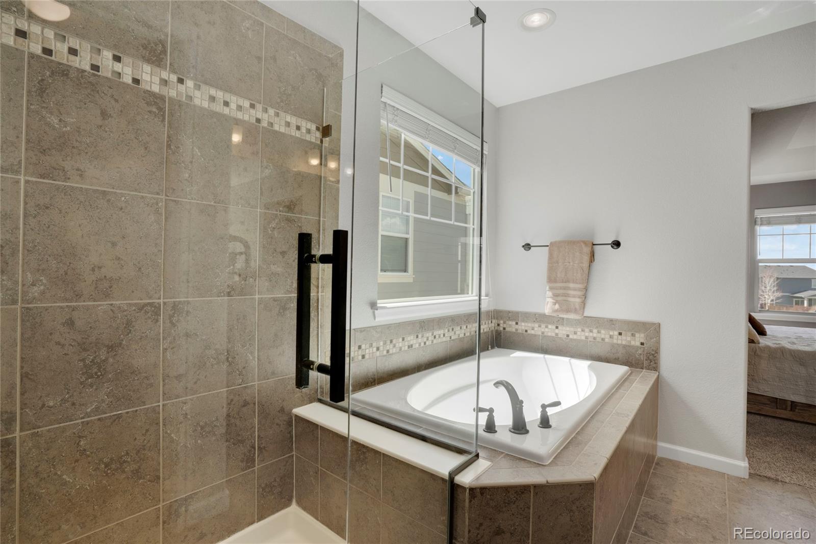 MLS Image #19 for 1558  wandering way,castle rock, Colorado