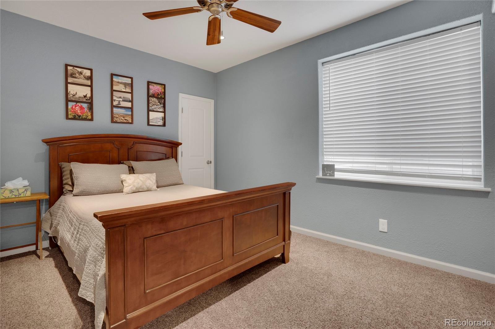MLS Image #27 for 1558  wandering way,castle rock, Colorado