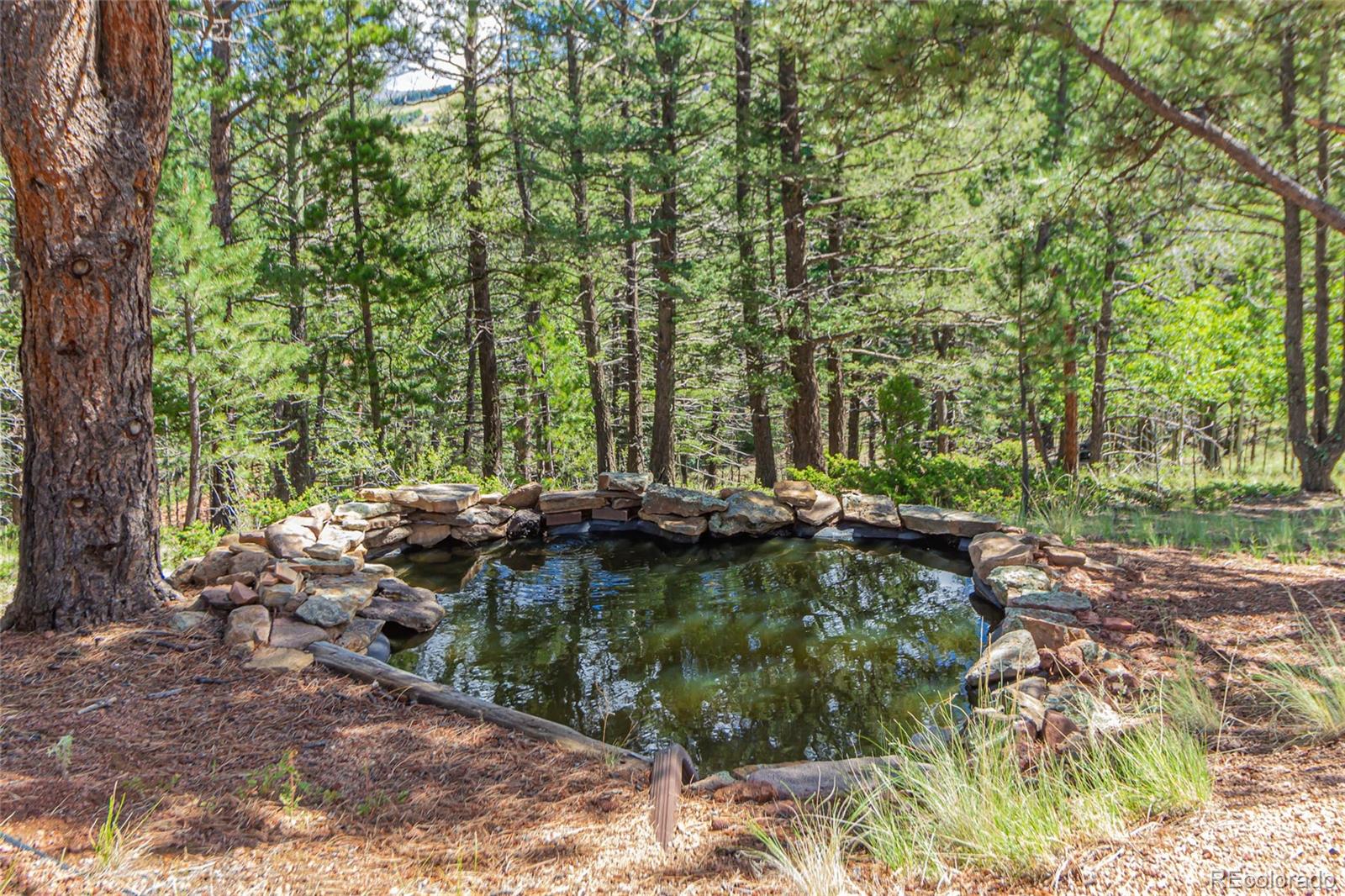 MLS Image #34 for 281  sunset lane,cripple creek, Colorado
