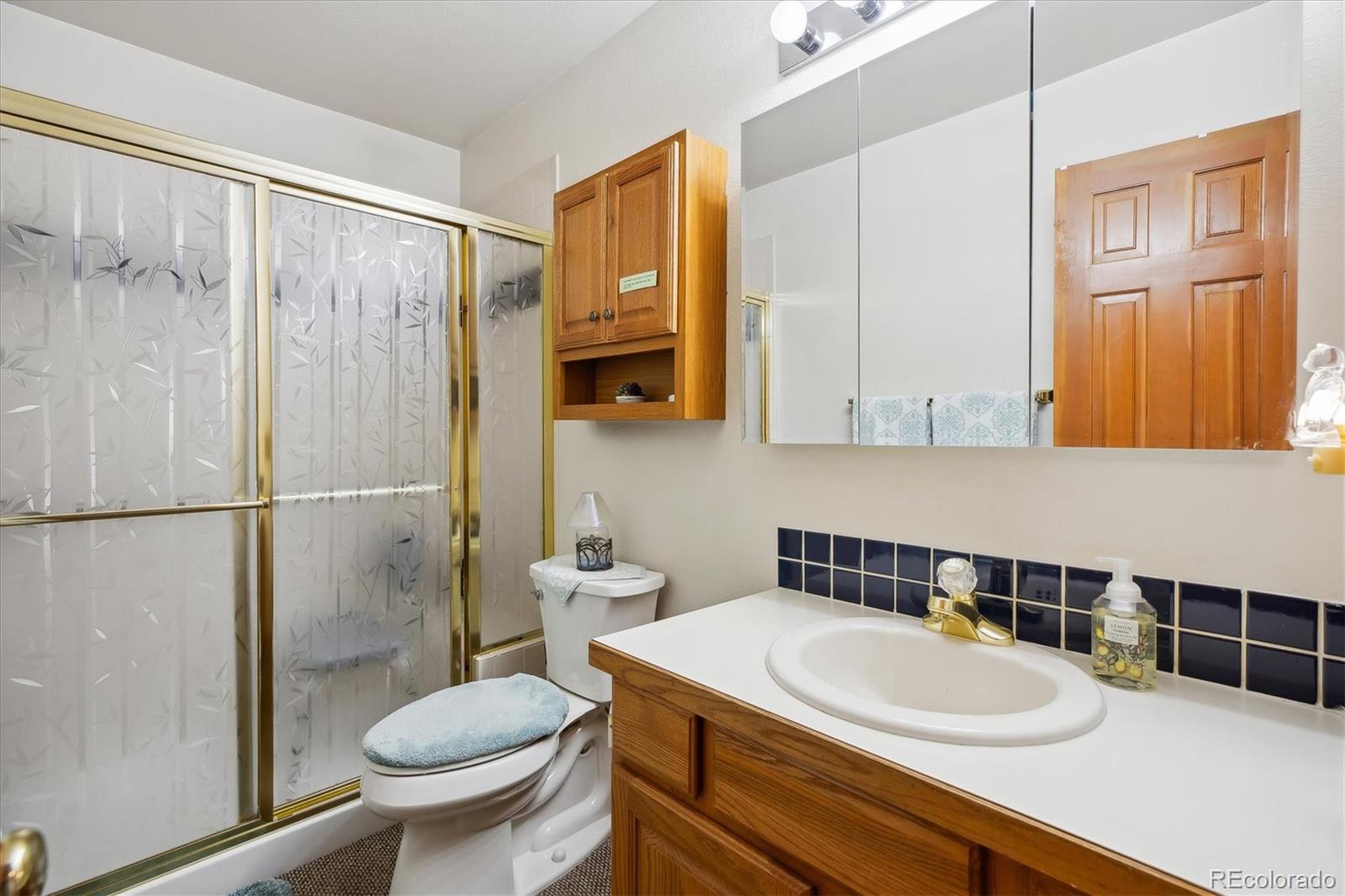 MLS Image #13 for 10654 w dumbarton circle,littleton, Colorado