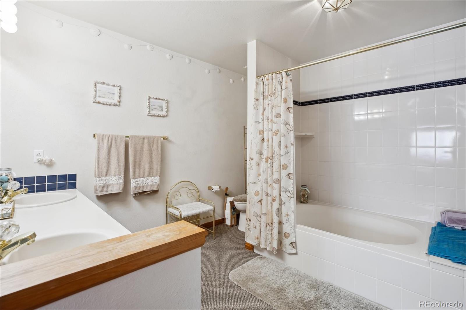 MLS Image #17 for 10654 w dumbarton circle,littleton, Colorado