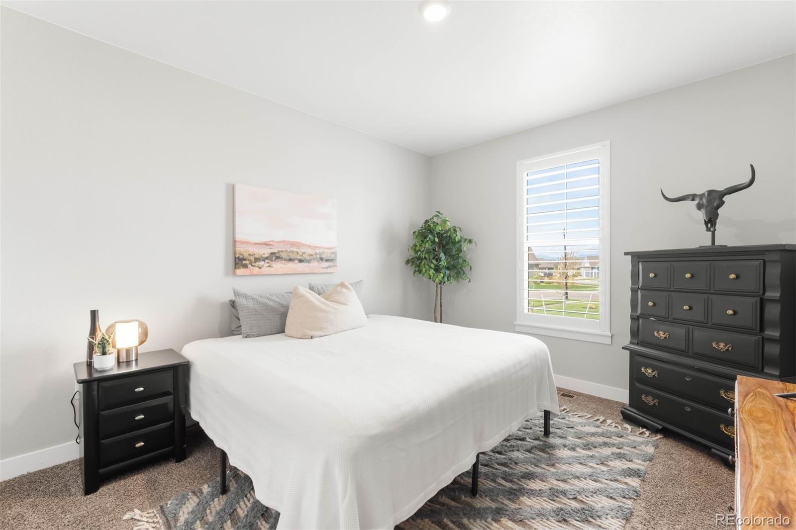 MLS Image #23 for 15640  spruce street,thornton, Colorado