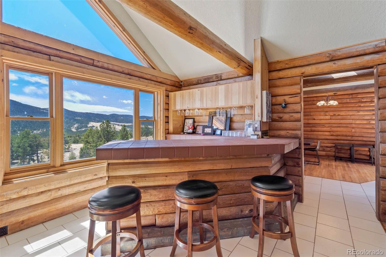 MLS Image #18 for 660  wagon wheel road,guffey, Colorado