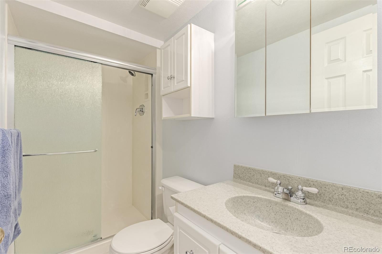 MLS Image #22 for 1005 s miller way,lakewood, Colorado