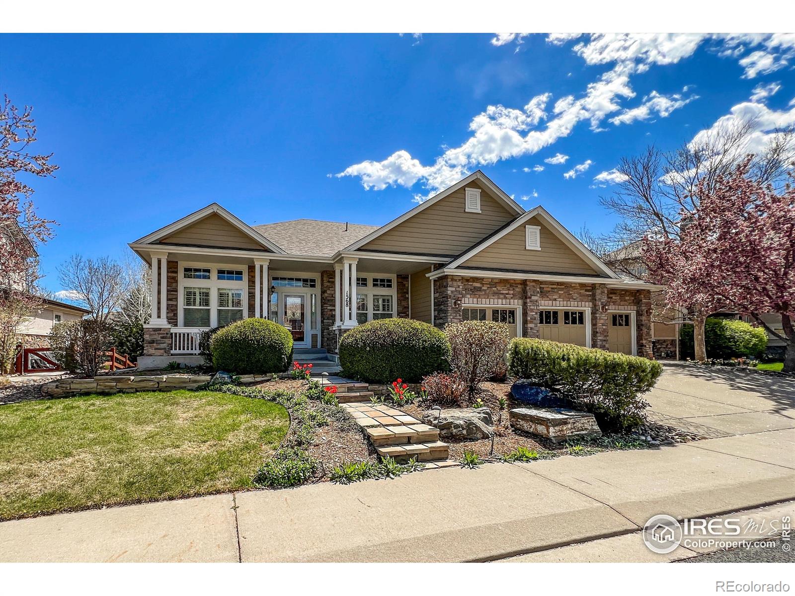 MLS Image #1 for 1568  stardance circle,longmont, Colorado