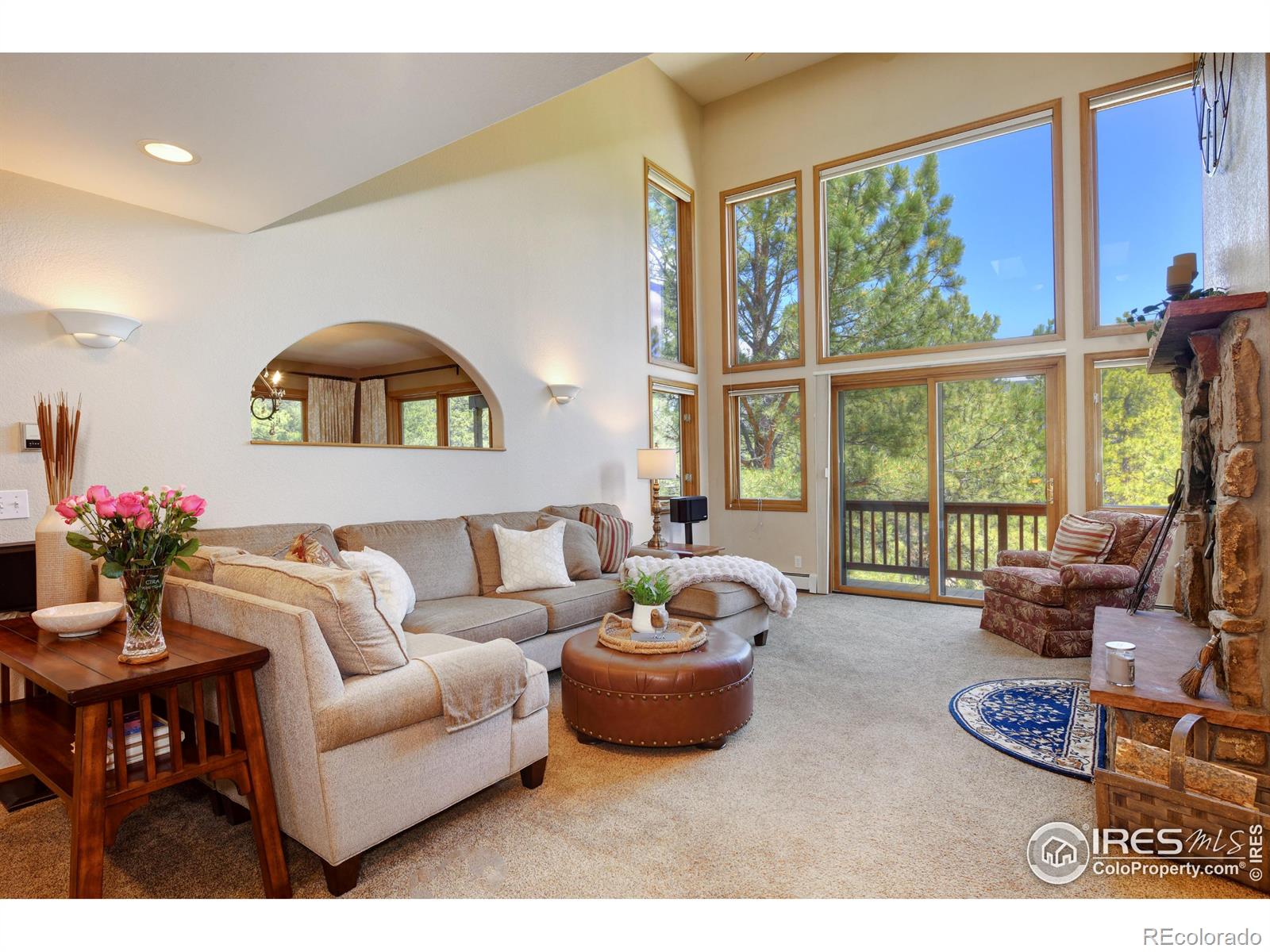 MLS Image #12 for 234  deer lane,lyons, Colorado