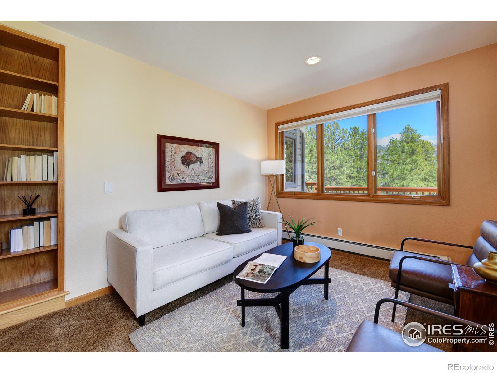 MLS Image #14 for 234  deer lane,lyons, Colorado
