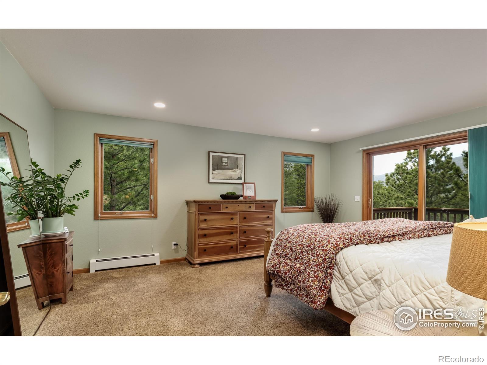 MLS Image #19 for 234  deer lane,lyons, Colorado