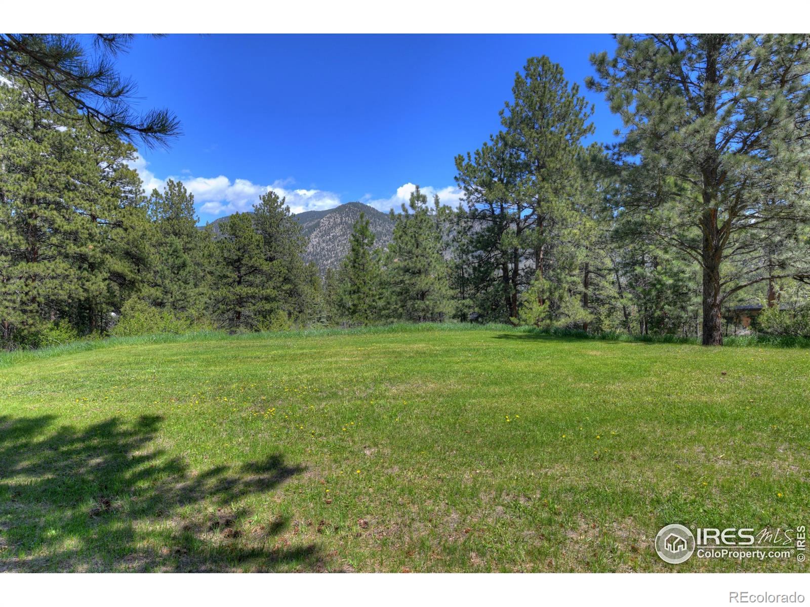 MLS Image #2 for 234  deer lane,lyons, Colorado