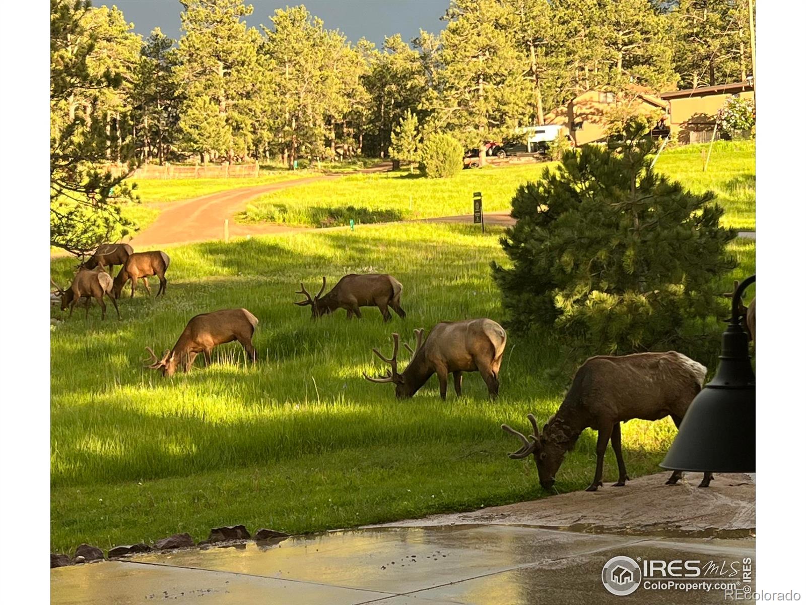 MLS Image #34 for 234  deer lane,lyons, Colorado