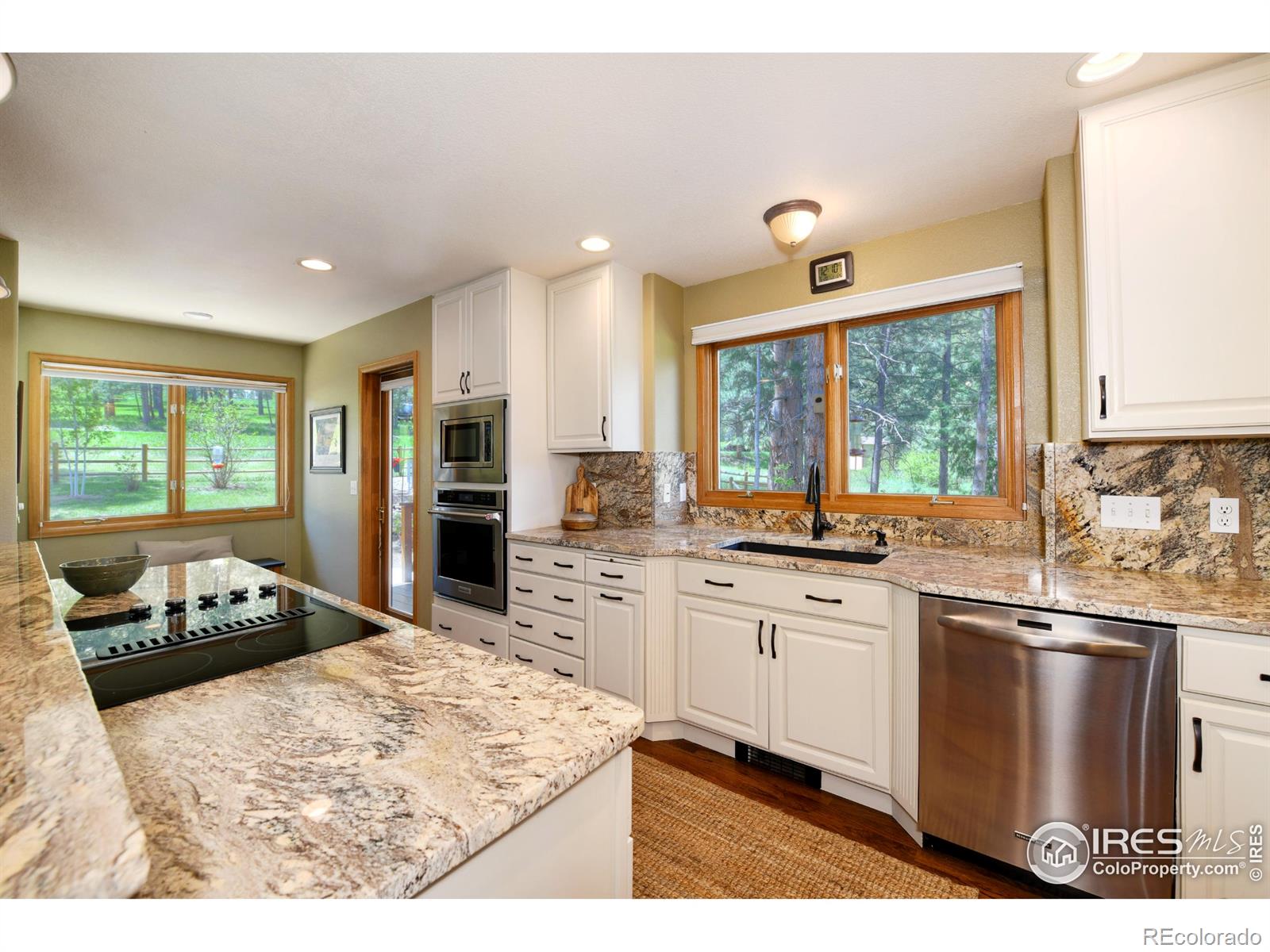 MLS Image #4 for 234  deer lane,lyons, Colorado