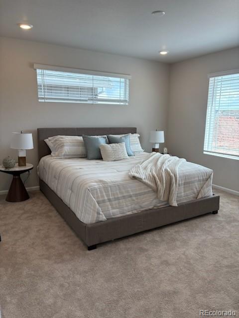 MLS Image #28 for 7306  watercress drive,littleton, Colorado
