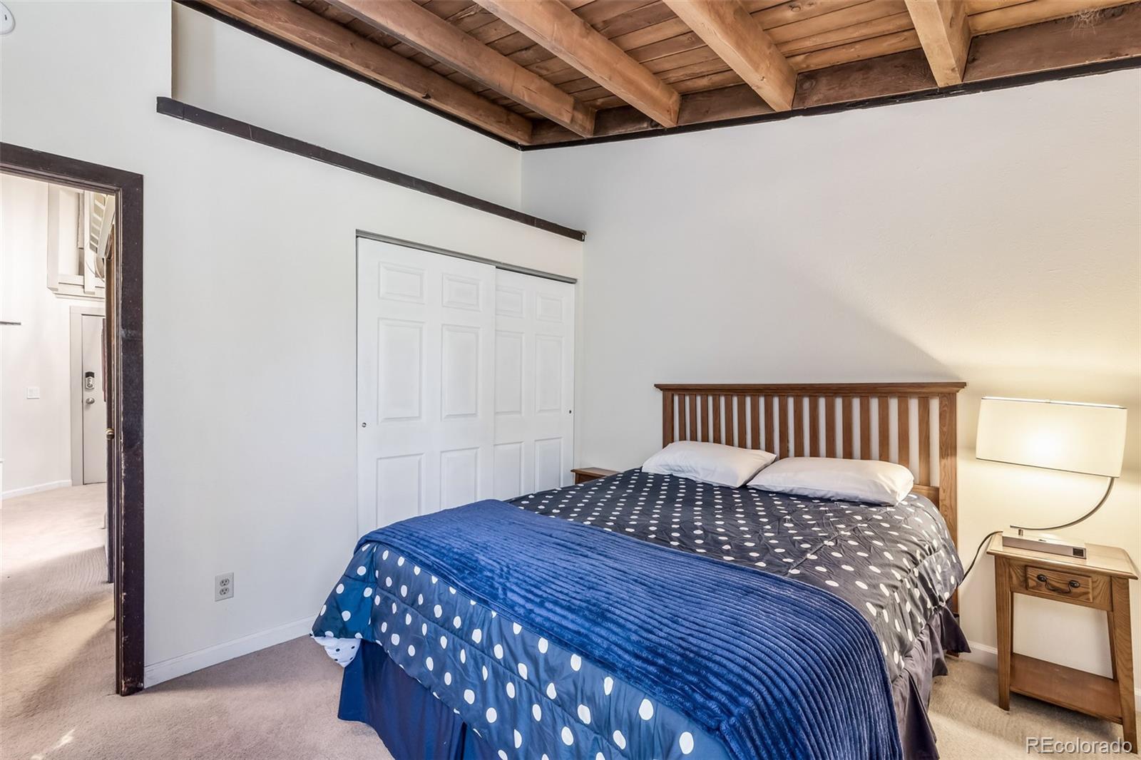 MLS Image #20 for 2200  lodgepole circle,silverthorne, Colorado