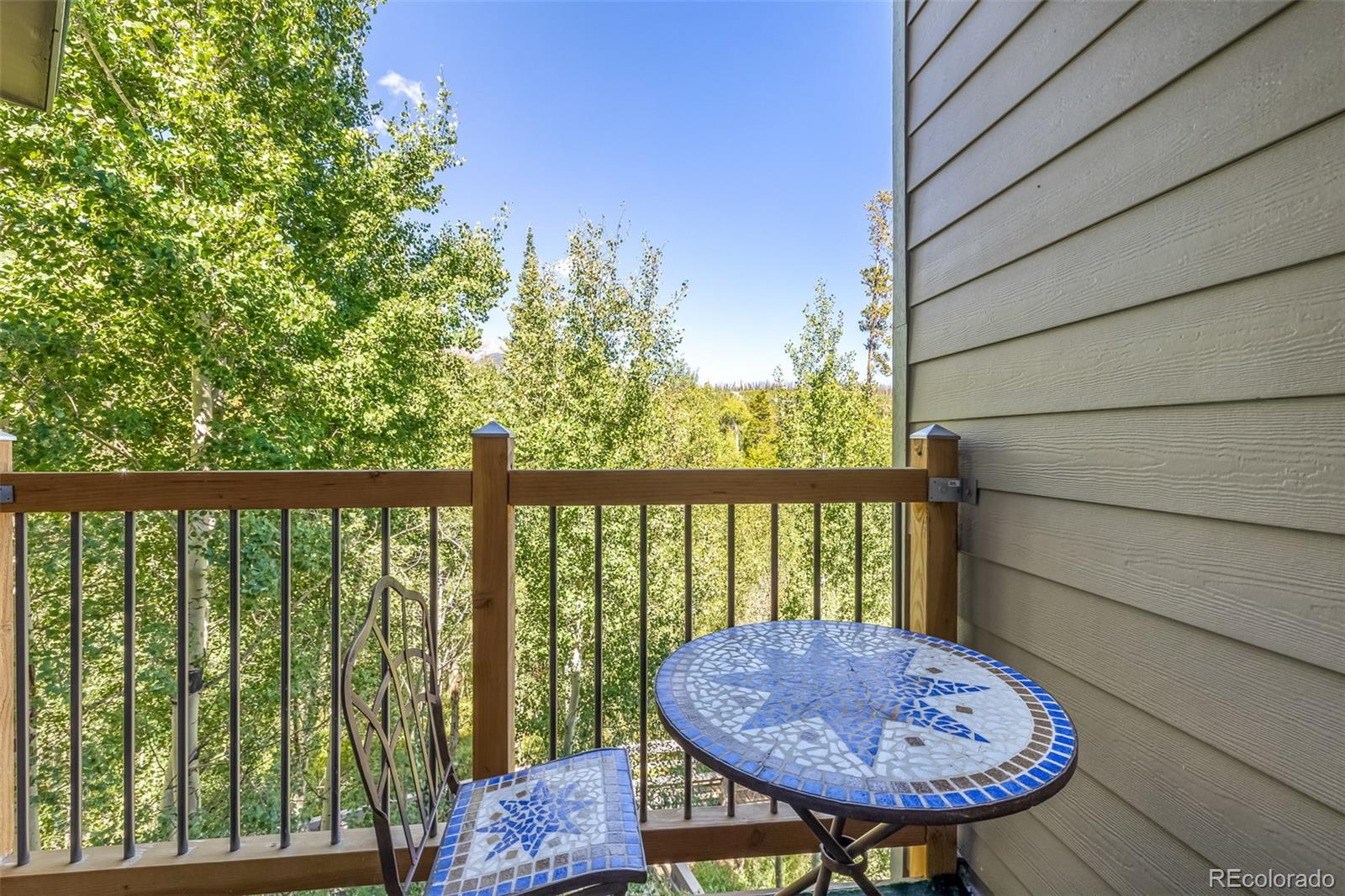 MLS Image #3 for 2200  lodgepole circle,silverthorne, Colorado