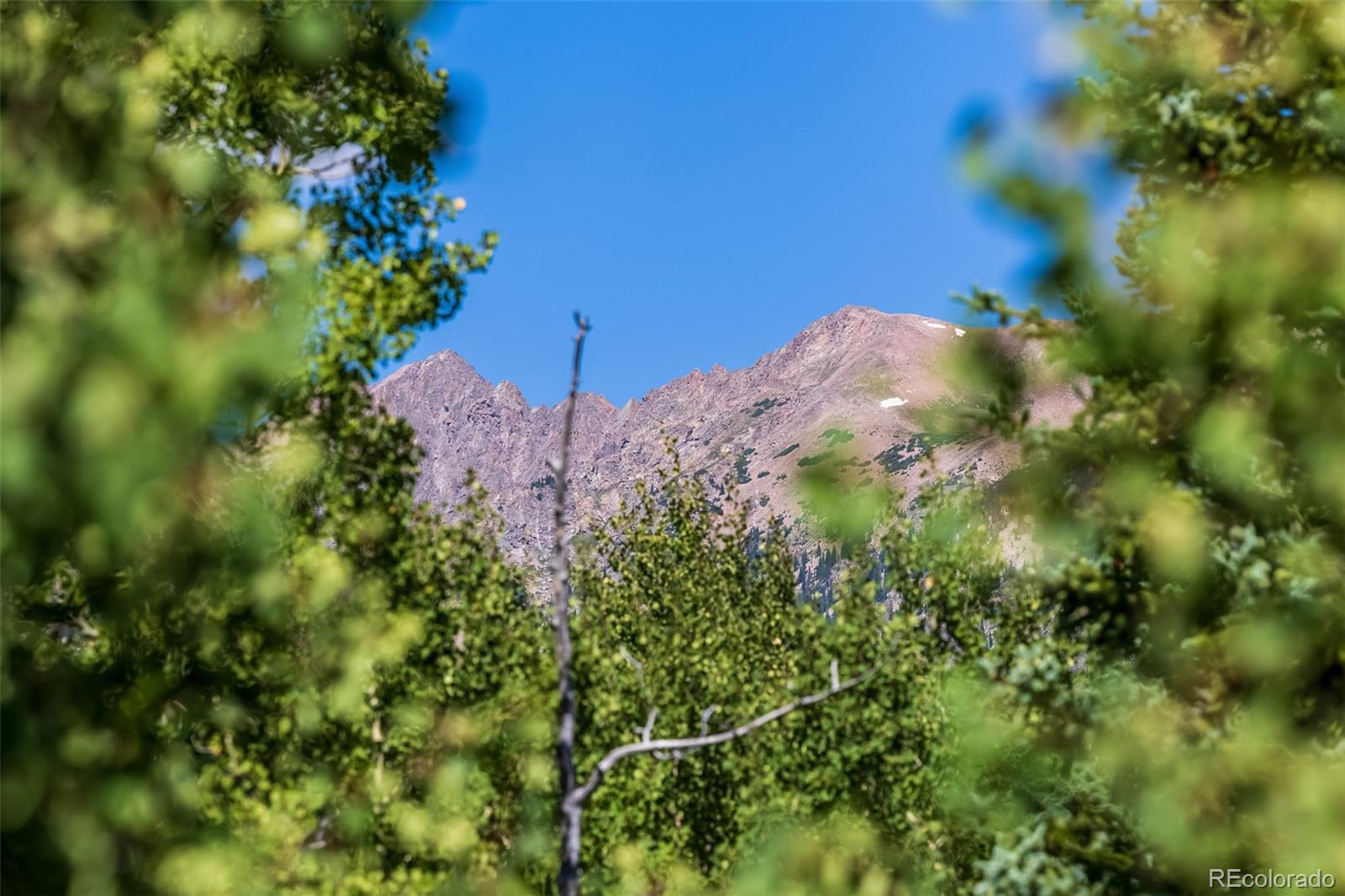 MLS Image #4 for 2200  lodgepole circle,silverthorne, Colorado