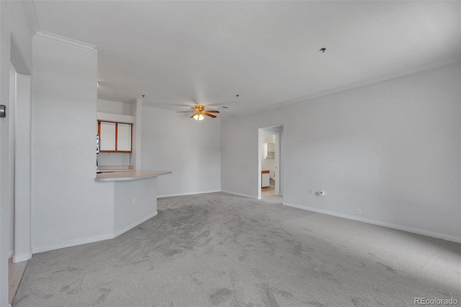 MLS Image #9 for 6017  castlegate drive,castle rock, Colorado