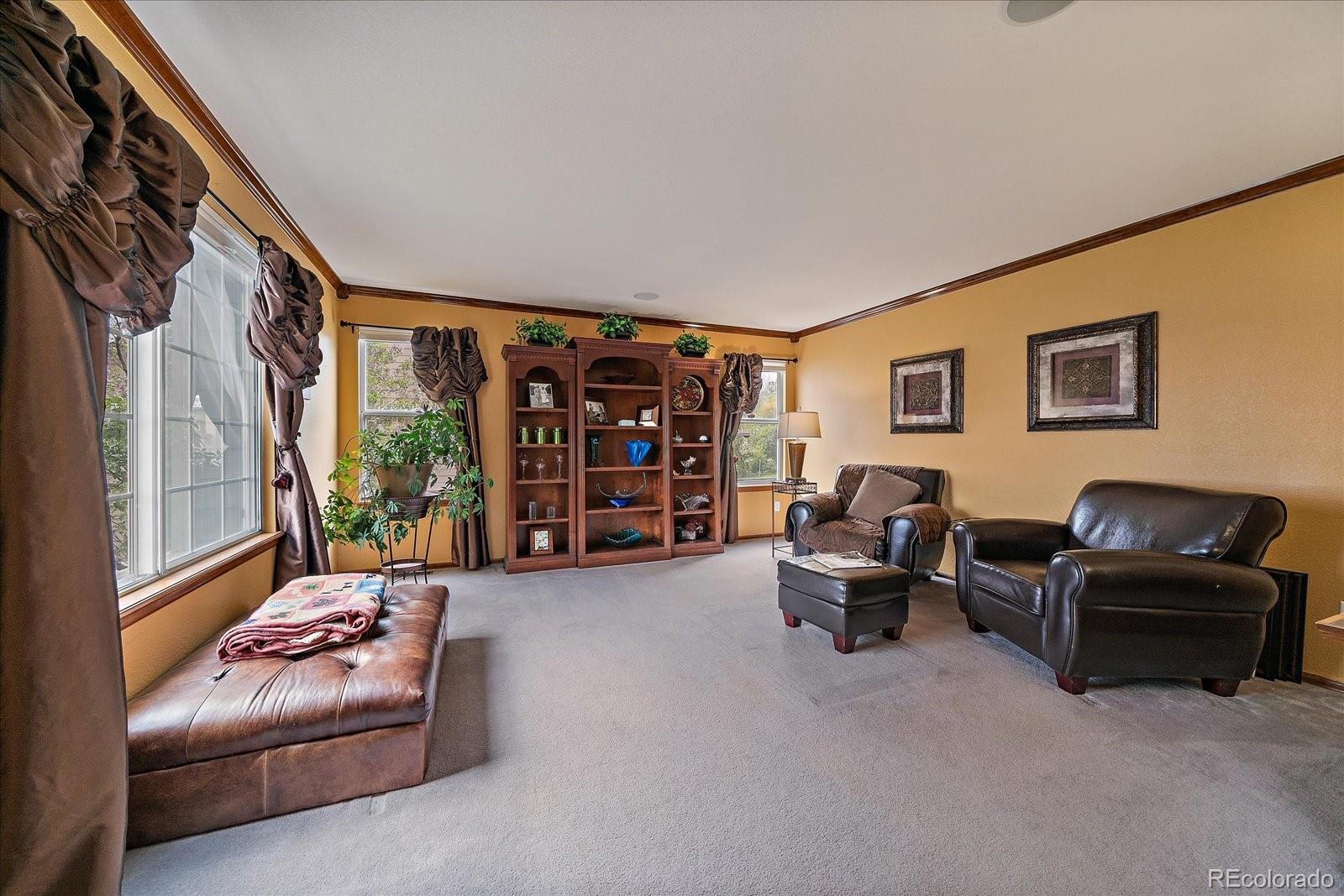 MLS Image #13 for 9251  sand hill trail,highlands ranch, Colorado