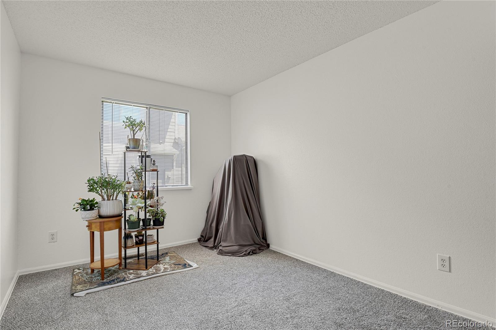 MLS Image #13 for 5501  denmark court,colorado springs, Colorado
