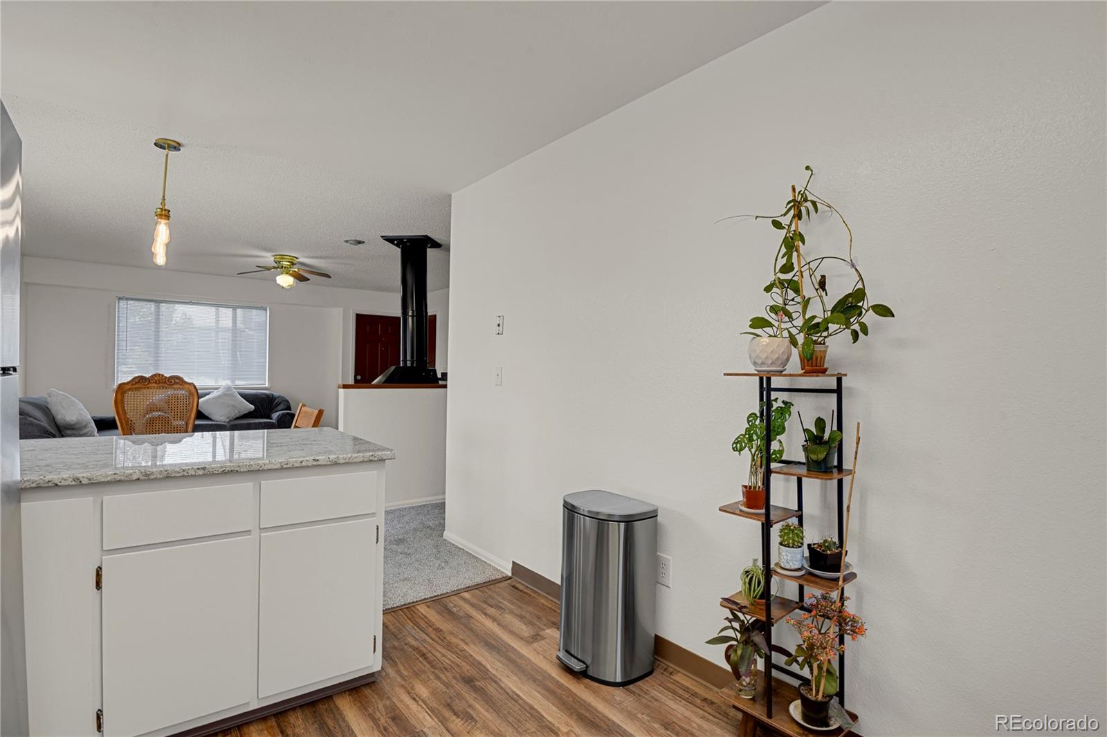 MLS Image #9 for 5501  denmark court,colorado springs, Colorado