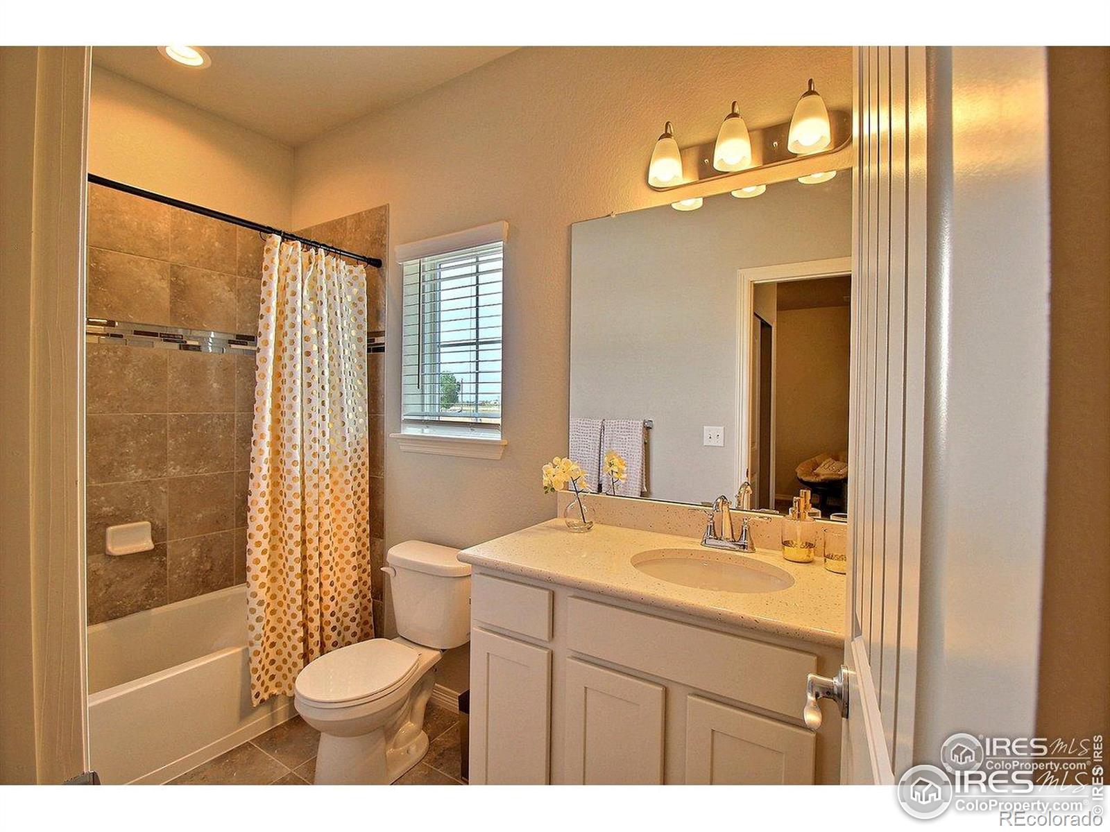 MLS Image #26 for 1693  grand avenue,windsor, Colorado