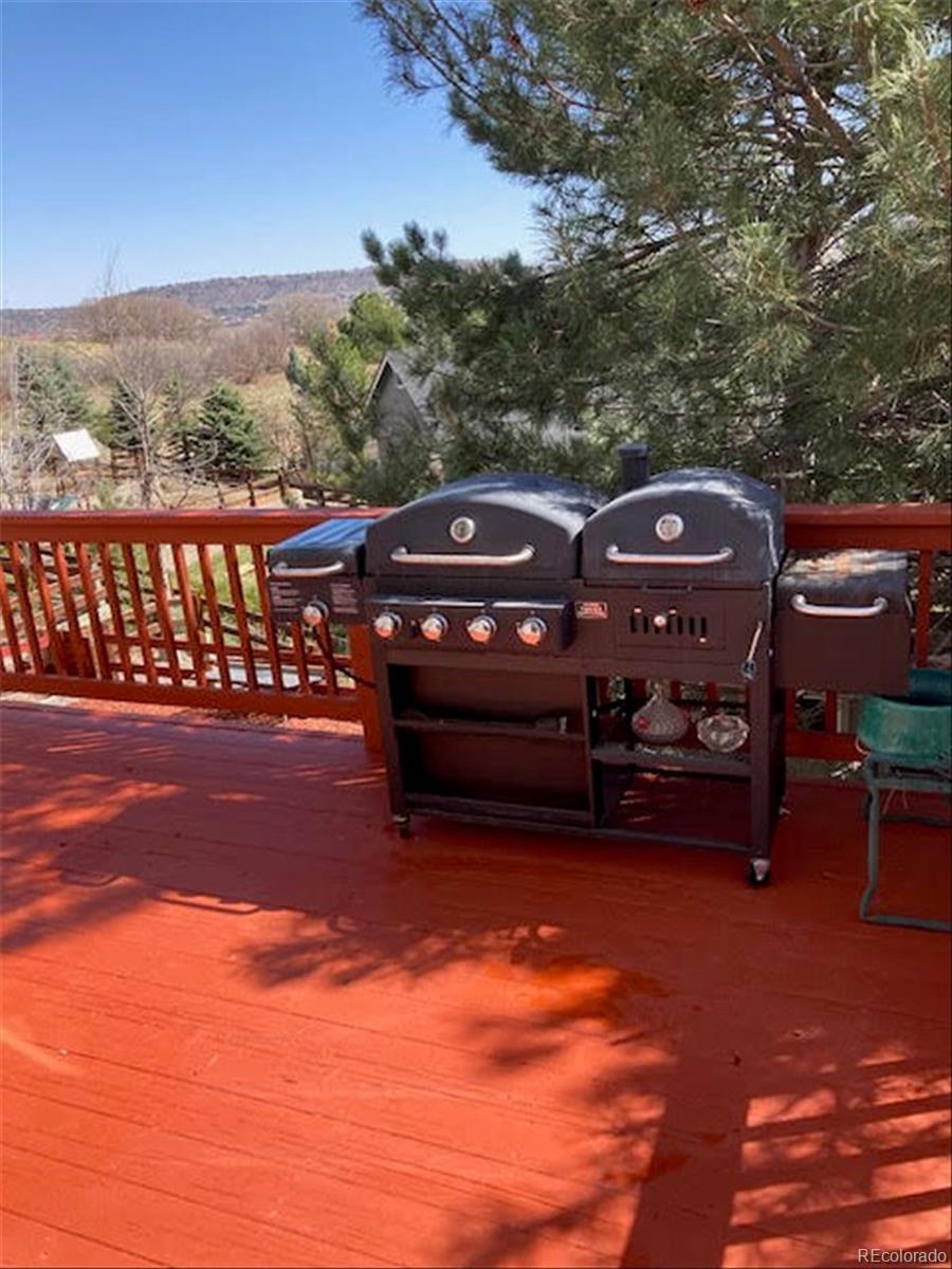 MLS Image #31 for 1225  switch grass drive,castle rock, Colorado